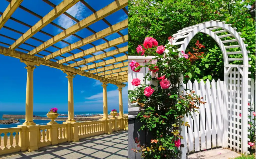 difference between pergola and arbor (1)