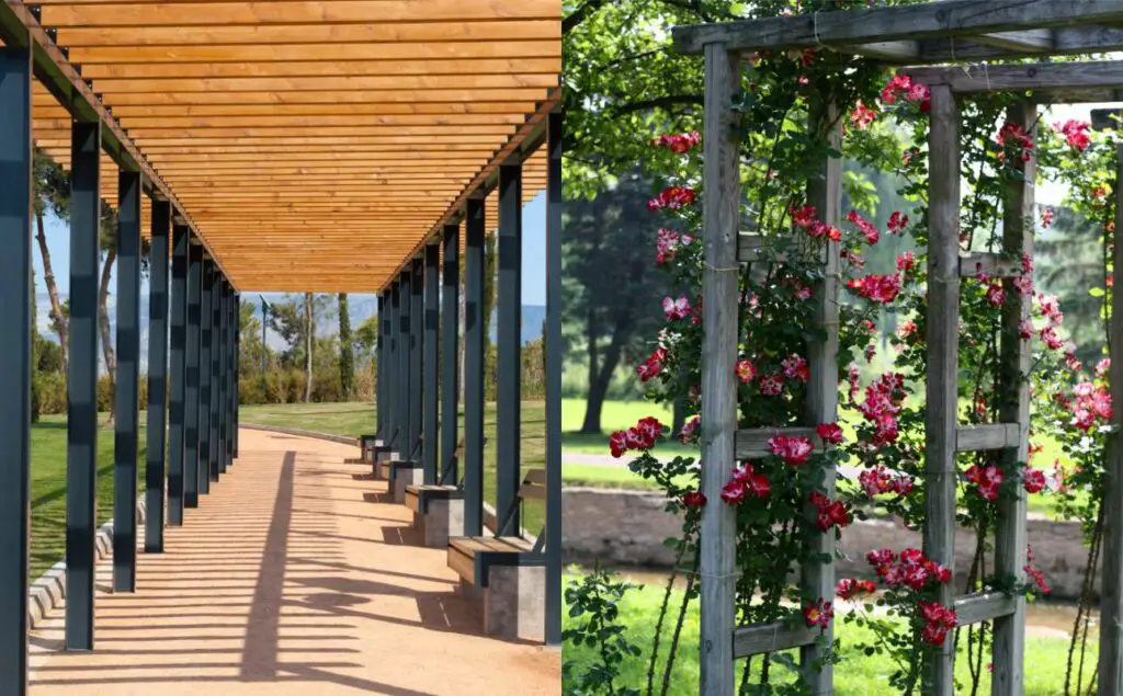 difference between pergola and trellis (1)