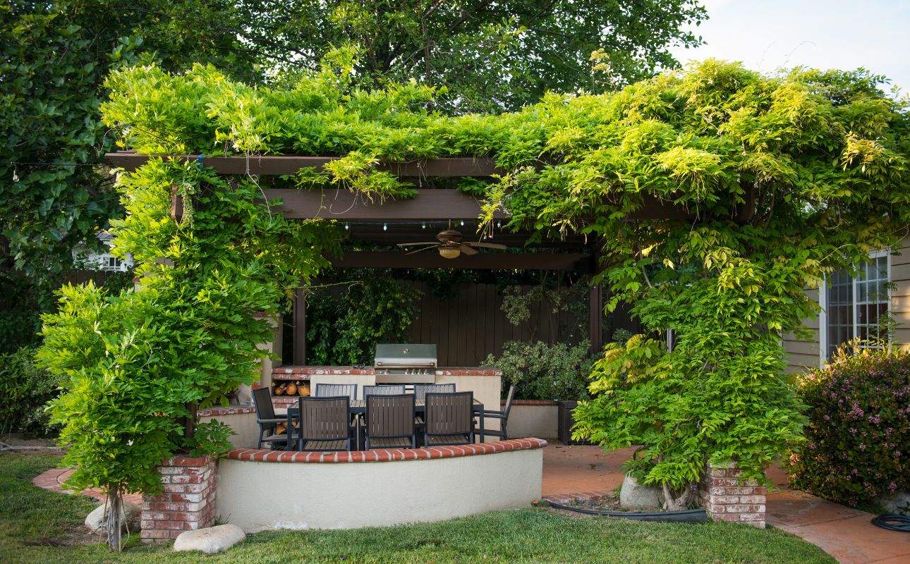 Do Pergolas Protect From Rain? ( What You Need To Know) TheHomeWiser