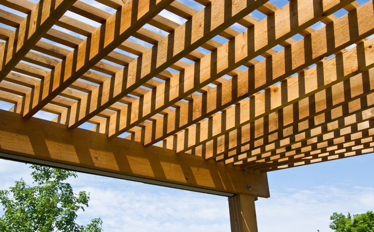 Can You Paint A Cedar Pergola? (Quick Guide) TheHomeWiser