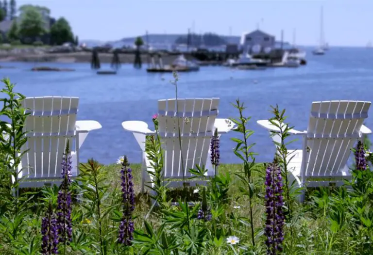 Why Are Adirondack Chairs Popular? The Secret Behind Their Success